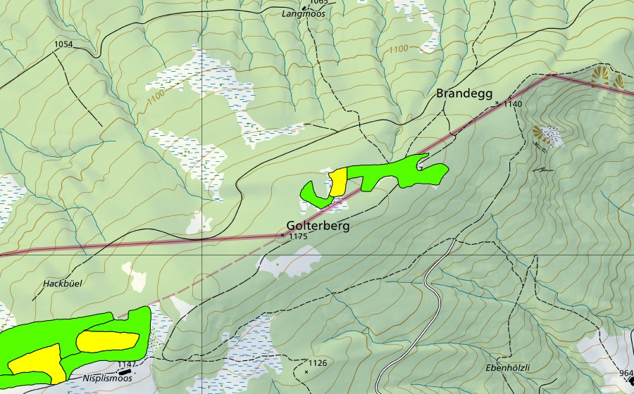 swisstopo national map showing the protected perimeter of Hirschberg (Raised bog)