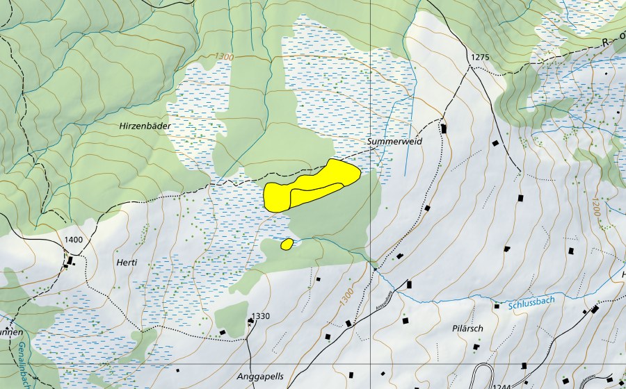 Carte nationale swisstopo avec le périmètre protégé de Hirzenbäder/Sommerweid (Haut-marais)