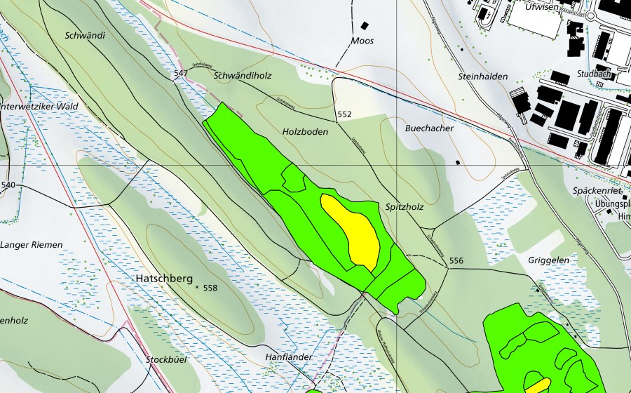 Carte nationale swisstopo avec le périmètre protégé de Hiwiler Riet (Haut-marais)