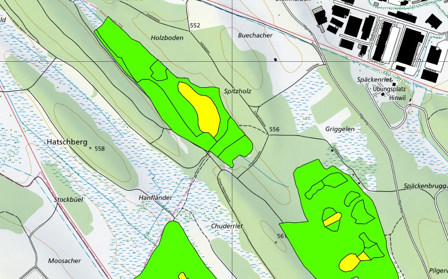 swisstopo national map showing the protected perimeter of Hiwiler Riet (Raised bog)