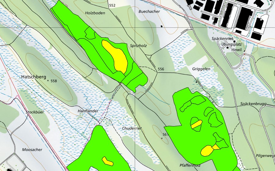 swisstopo national map showing the protected perimeter of Hiwiler Riet (Raised bog)
