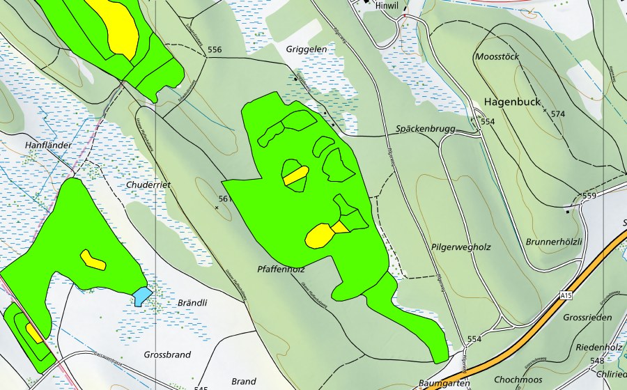 swisstopo national map showing the protected perimeter of Hiwiler Riet (Raised bog)