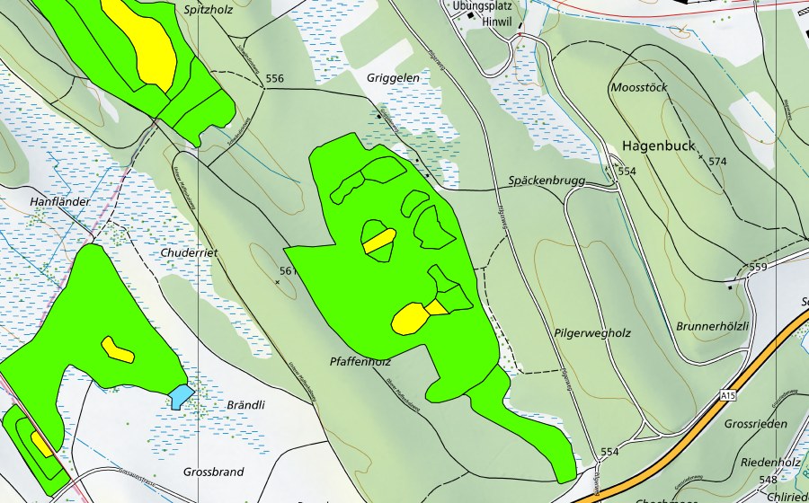 Carte nationale swisstopo avec le périmètre protégé de Hiwiler Riet (Haut-marais)