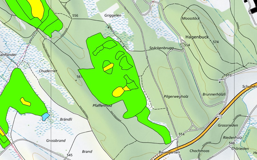 Landeskarte swisstopo mit dem Schutzperimeter von Hiwiler Riet (Hochmoor)