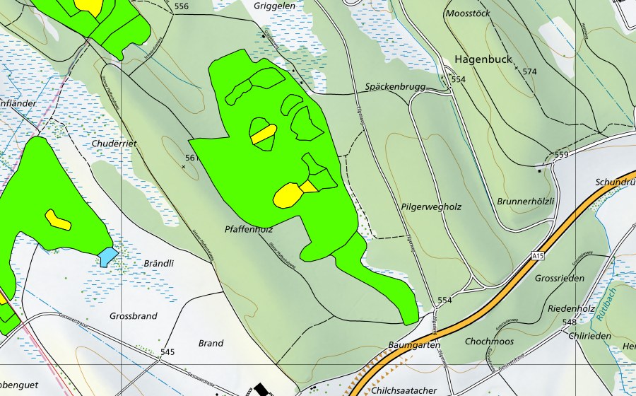 Carte nationale swisstopo avec le périmètre protégé de Hiwiler Riet (Haut-marais)