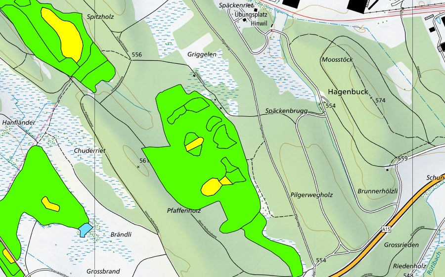 Landeskarte swisstopo mit dem Schutzperimeter von Hiwiler Riet (Hochmoor)