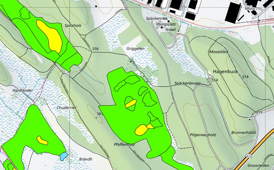 Carta nazionale swisstopo con il perimetro protetto di Hiwiler Riet (Torbiera alta)