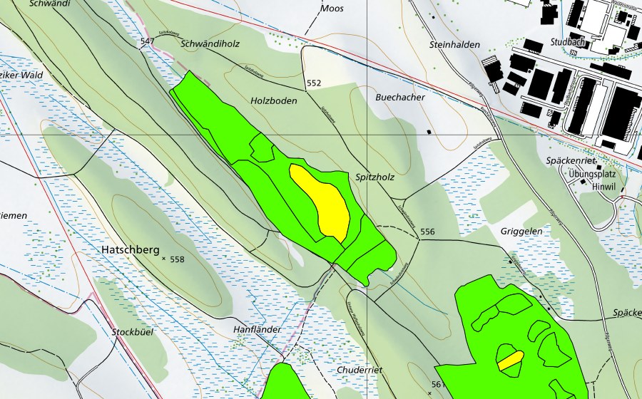 swisstopo national map showing the protected perimeter of Hiwiler Riet (Raised bog)
