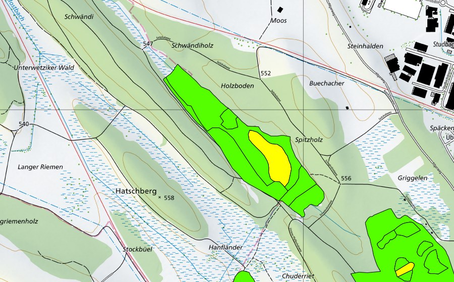 swisstopo national map showing the protected perimeter of Hiwiler Riet (Raised bog)