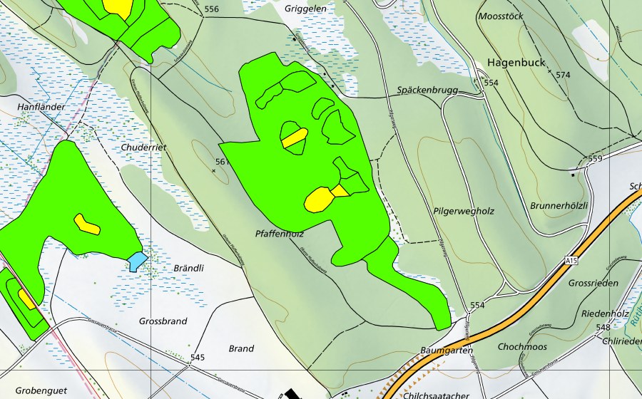 swisstopo national map showing the protected perimeter of Hiwiler Riet (Raised bog)