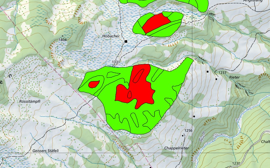 Carte nationale swisstopo avec le périmètre protégé de Hobacher (Haut-marais)