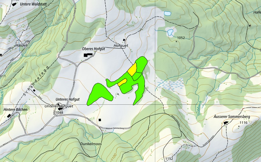 Carte nationale swisstopo avec le périmètre protégé de Hofguetmoor (Haut-marais)