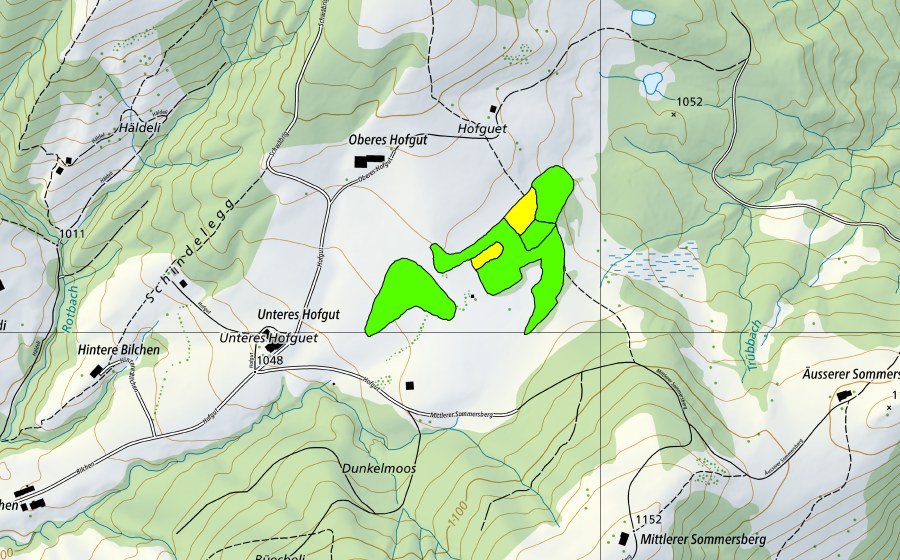 Carte nationale swisstopo avec le périmètre protégé de Hofguetmoor (Haut-marais)
