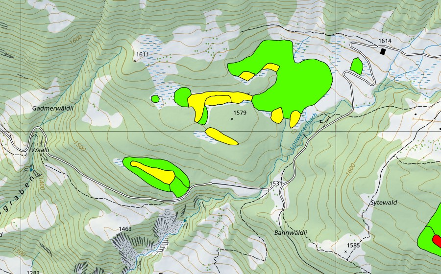 Landeskarte swisstopo mit dem Schutzperimeter von Höhenschwandmoor (Hochmoor)