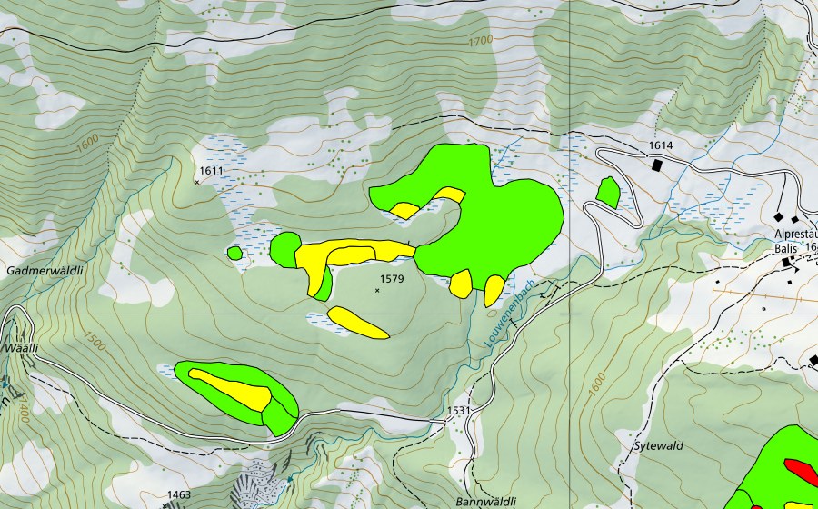 Carte nationale swisstopo avec le périmètre protégé de Höhenschwandmoor (Haut-marais)