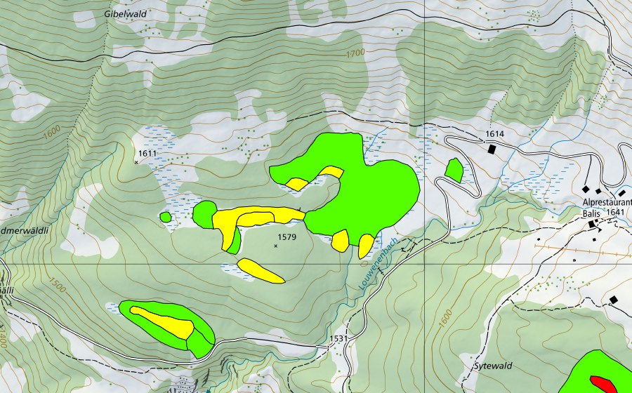 Carte nationale swisstopo avec le périmètre protégé de Höhenschwandmoor (Haut-marais)
