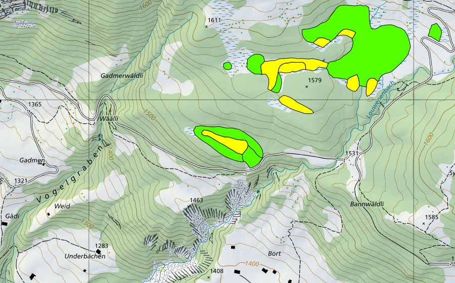 Landeskarte swisstopo mit dem Schutzperimeter von Höhenschwandmoor (Hochmoor)