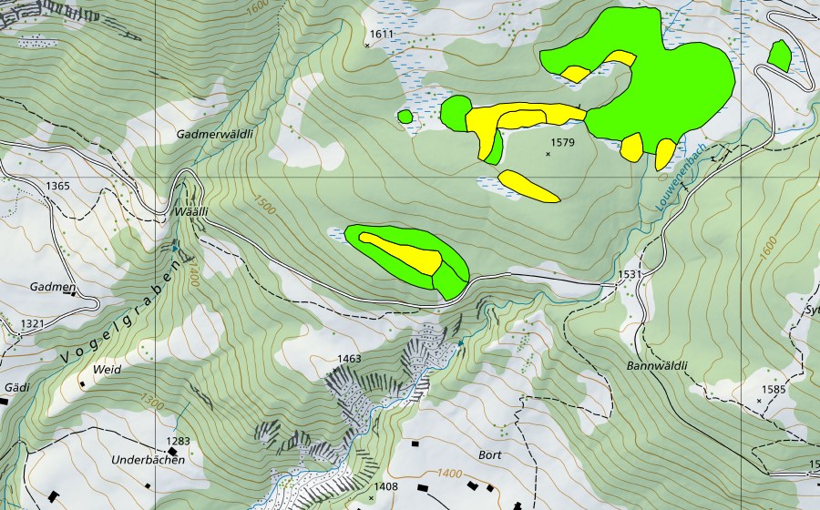 Carte nationale swisstopo avec le périmètre protégé de Höhenschwandmoor (Haut-marais)