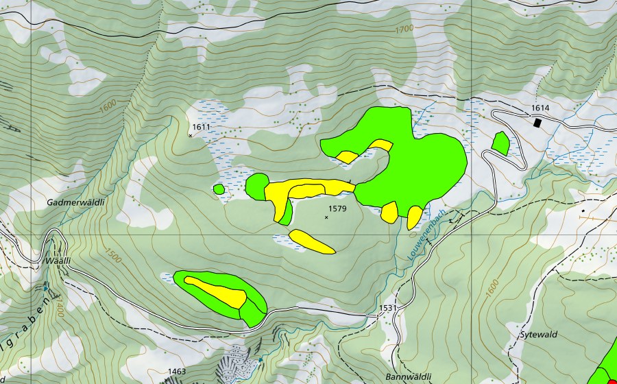 swisstopo national map showing the protected perimeter of Höhenschwandmoor (Raised bog)