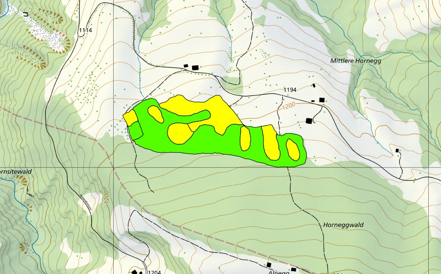 Carte nationale swisstopo avec le périmètre protégé de Horneggwald (Haut-marais)