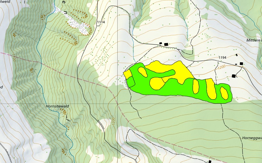 Carte nationale swisstopo avec le périmètre protégé de Horneggwald (Haut-marais)