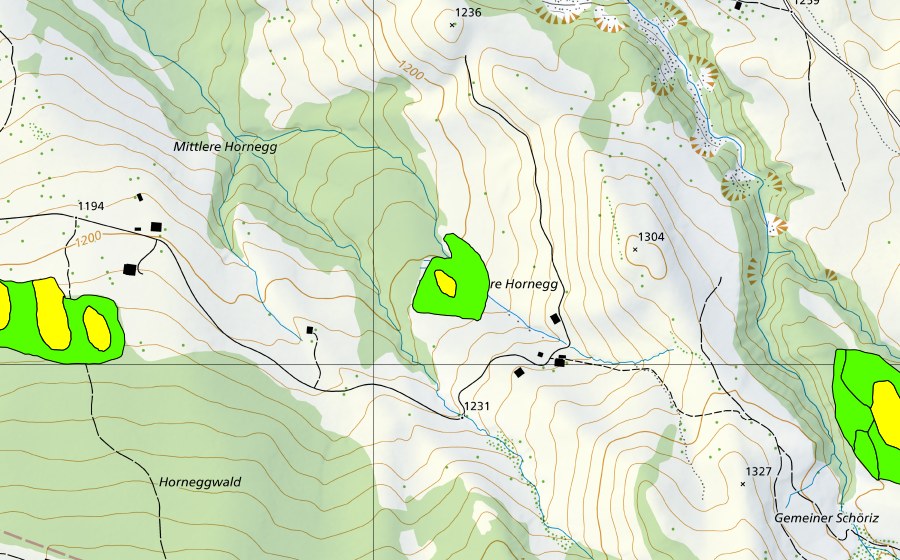 Landeskarte swisstopo mit dem Schutzperimeter von Horneggwald (Hochmoor)