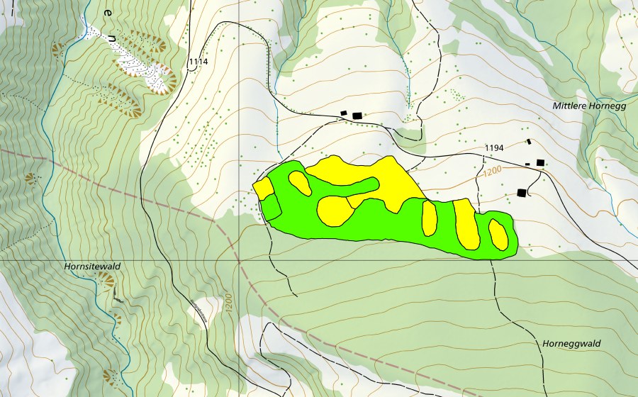 swisstopo national map showing the protected perimeter of Horneggwald (Raised bog)