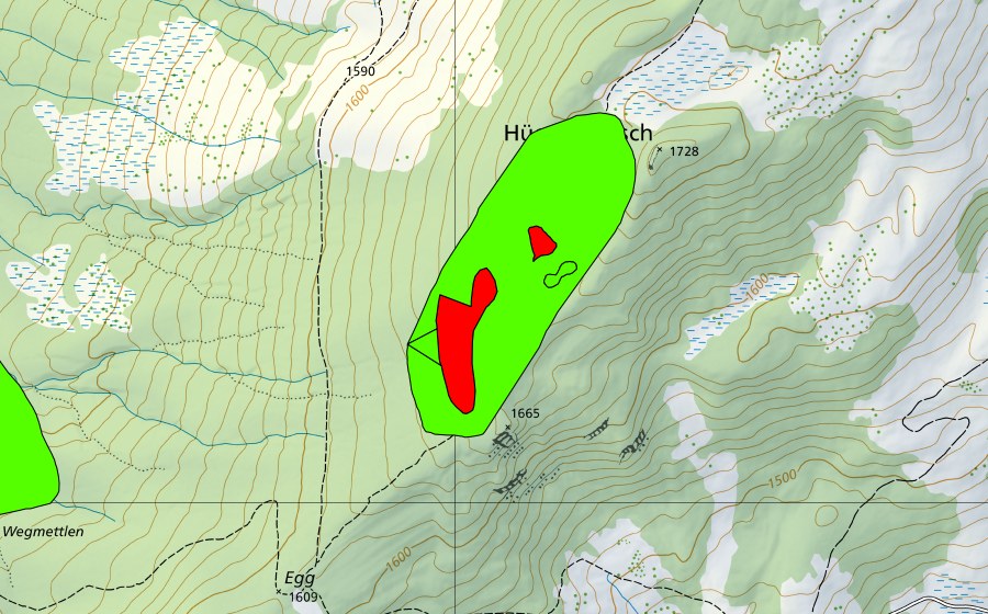 Carte nationale swisstopo avec le périmètre protégé de Hüenergütsch (Haut-marais)