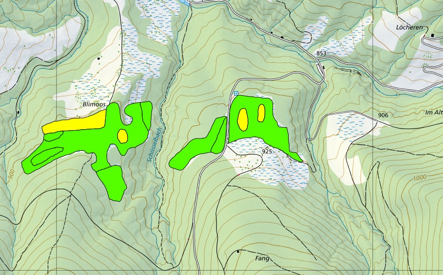 swisstopo national map showing the protected perimeter of Im Fang (Raised bog)