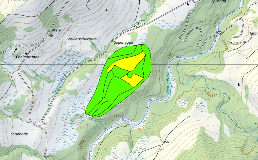 Carte nationale swisstopo avec le périmètre protégé de Juchmoos (Haut-marais)
