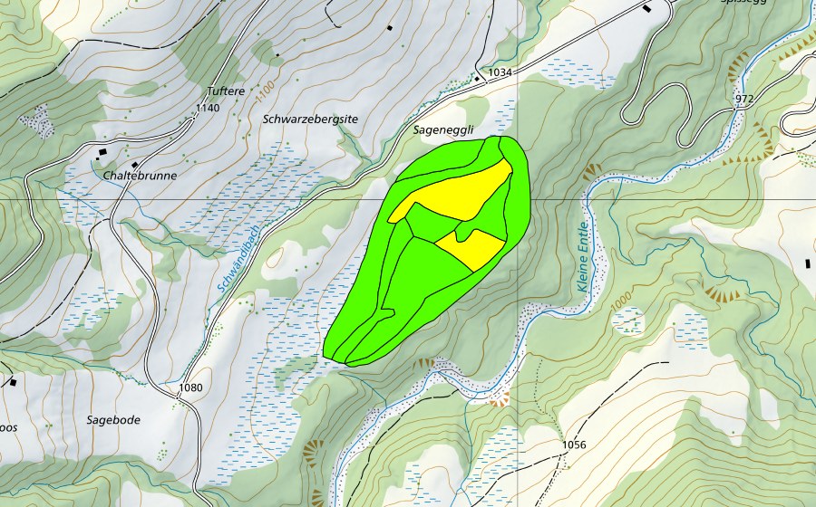 swisstopo national map showing the protected perimeter of Juchmoos (Raised bog)