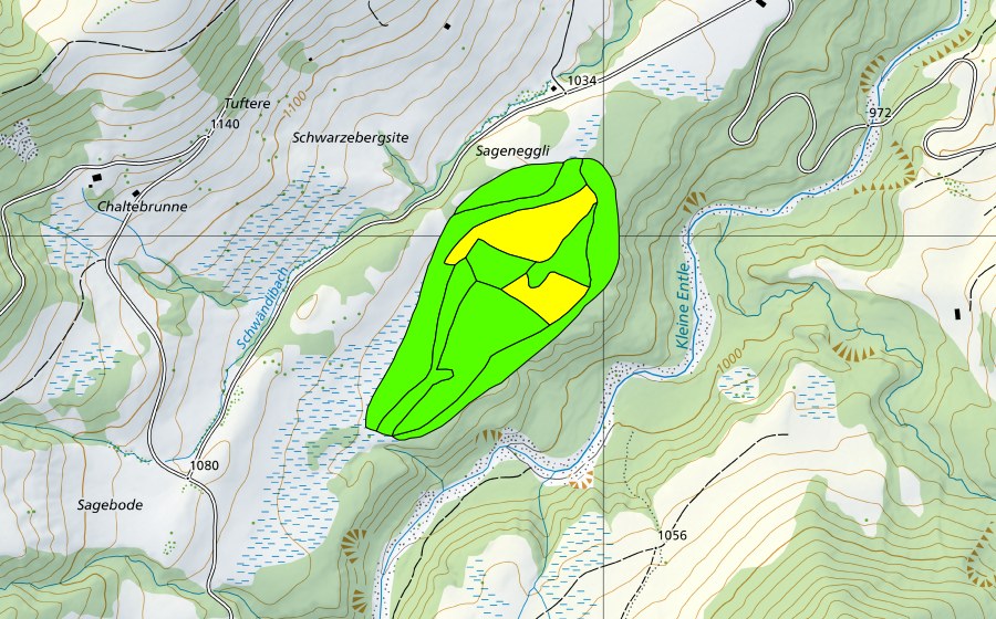 swisstopo national map showing the protected perimeter of Juchmoos (Raised bog)