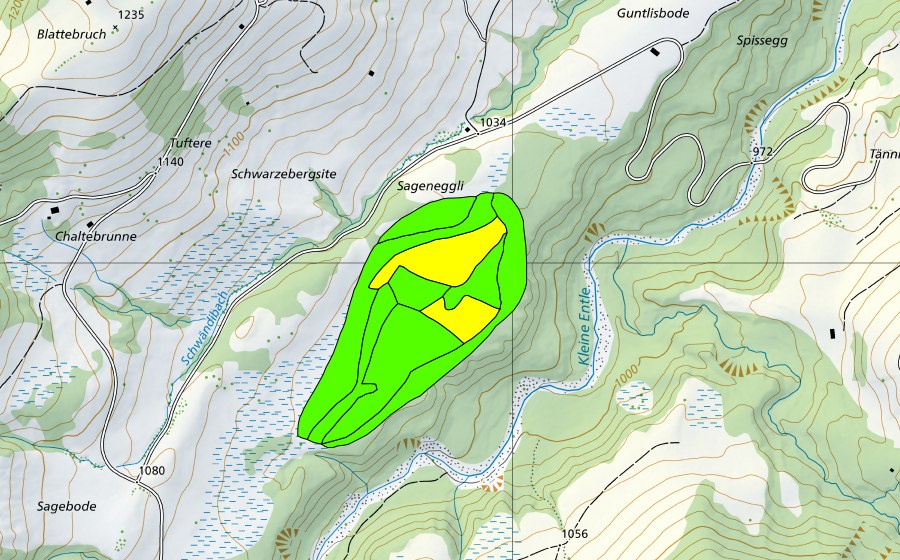 Carte nationale swisstopo avec le périmètre protégé de Juchmoos (Haut-marais)