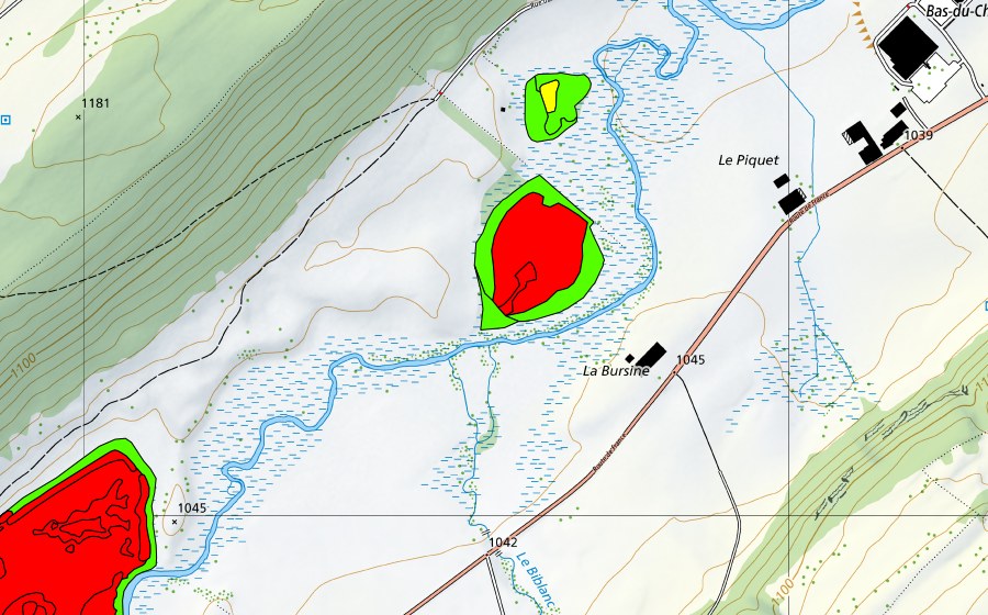 Carte nationale swisstopo avec le périmètre protégé de La Bursine (Haut-marais)