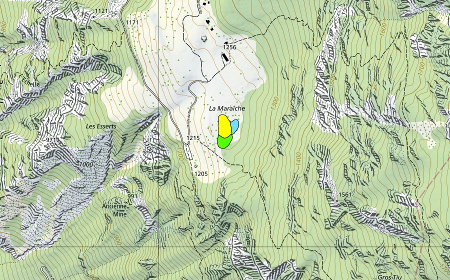 Landeskarte swisstopo mit dem Schutzperimeter von La Maraiche de Plex (Hochmoor)