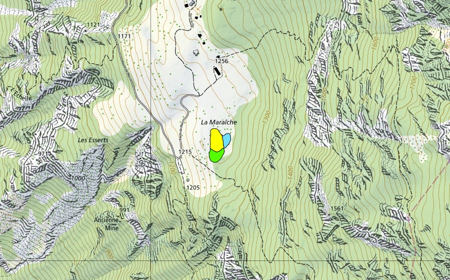 Landeskarte swisstopo mit dem Schutzperimeter von La Maraiche de Plex (Hochmoor)