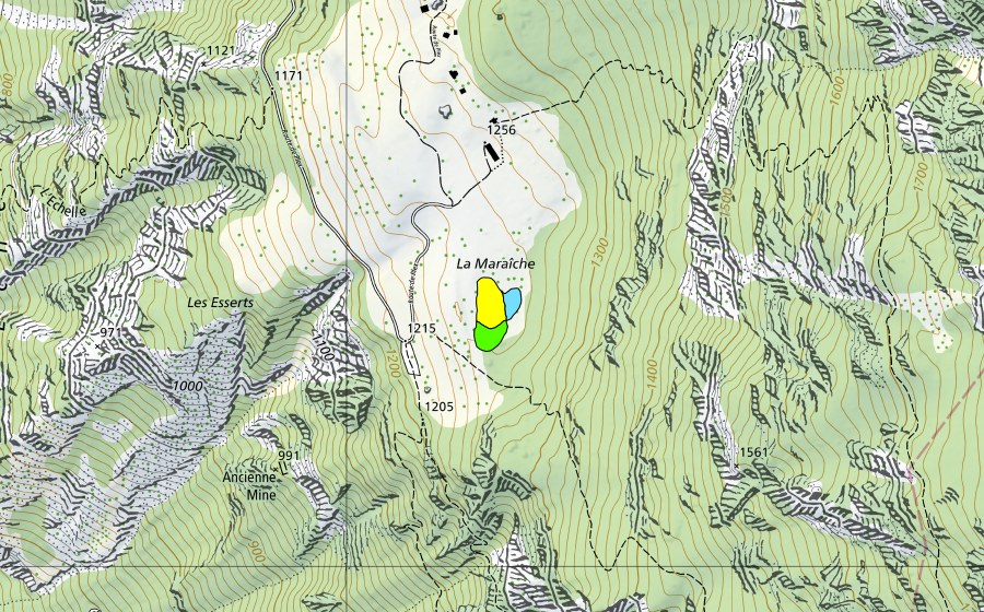 Landeskarte swisstopo mit dem Schutzperimeter von La Maraiche de Plex (Hochmoor)
