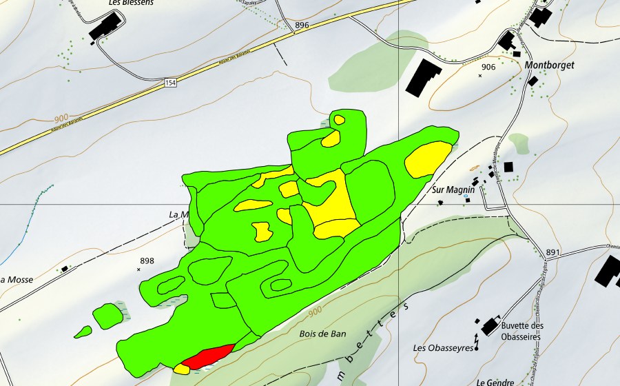 Carte nationale swisstopo avec le périmètre protégé de La Mosse d'en Bas (Haut-marais)
