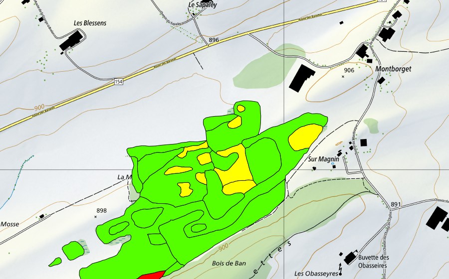 Landeskarte swisstopo mit dem Schutzperimeter von La Mosse d'en Bas (Hochmoor)