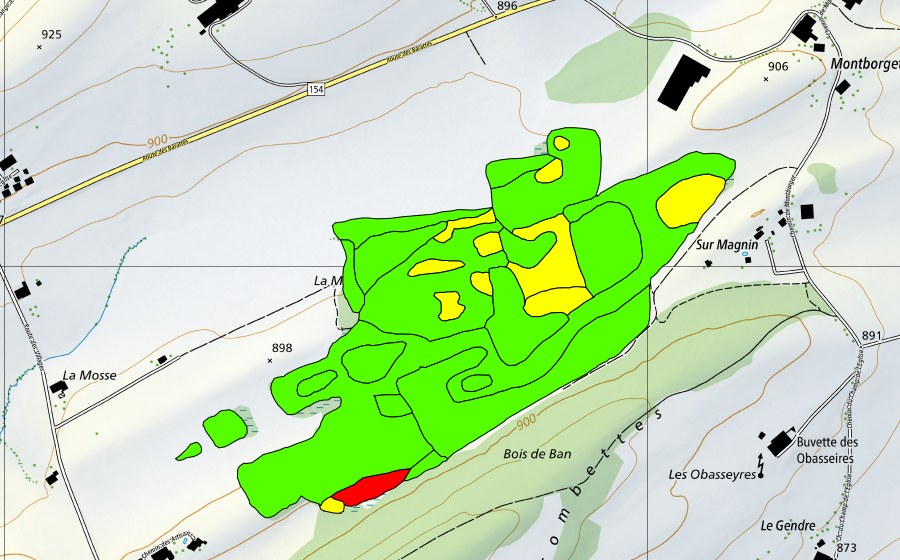 swisstopo national map showing the protected perimeter of La Mosse d'en Bas (Raised bog)