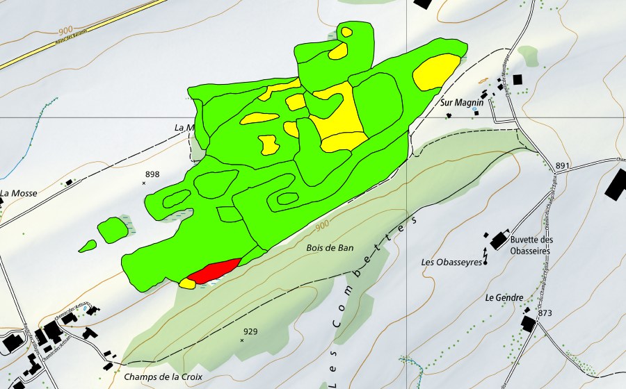 Carte nationale swisstopo avec le périmètre protégé de La Mosse d'en Bas (Haut-marais)