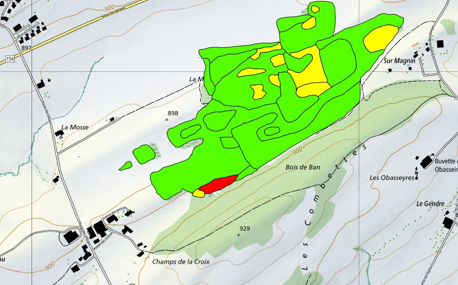 Carte nationale swisstopo avec le périmètre protégé de La Mosse d'en Bas (Haut-marais)