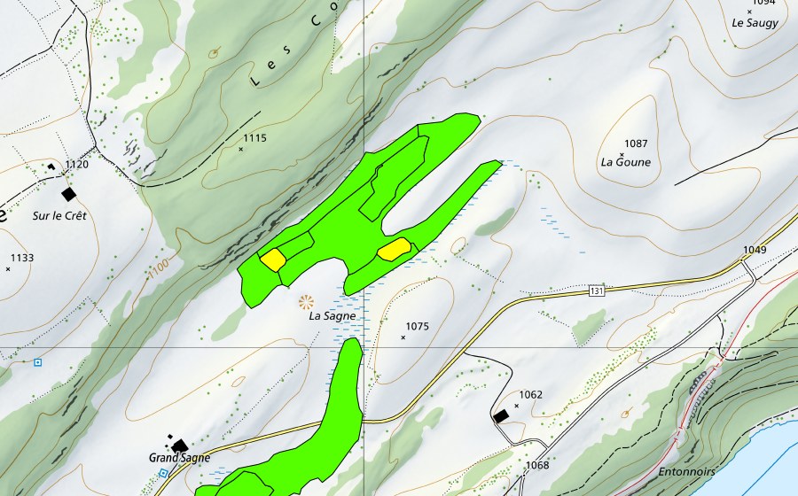 Landeskarte swisstopo mit dem Schutzperimeter von La Sagne au sud-ouest du Lieu (Hochmoor)
