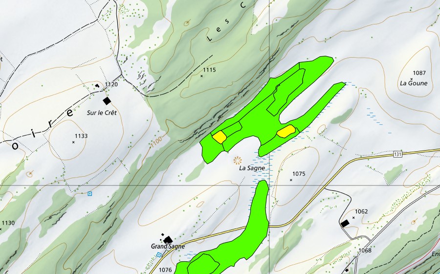 Landeskarte swisstopo mit dem Schutzperimeter von La Sagne au sud-ouest du Lieu (Hochmoor)