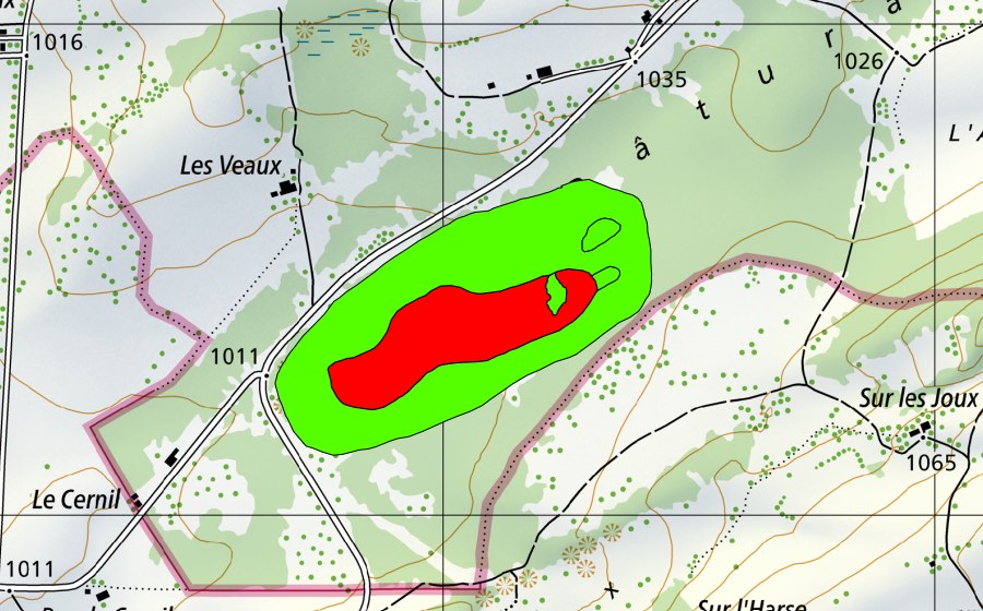 Landeskarte swisstopo mit dem Schutzperimeter von La Tourbière au sud des Veaux (Hochmoor)