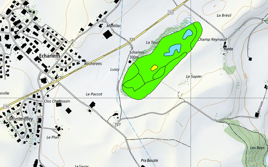 Landeskarte swisstopo mit dem Schutzperimeter von La Tourbière d'Echarlens (Hochmoor)