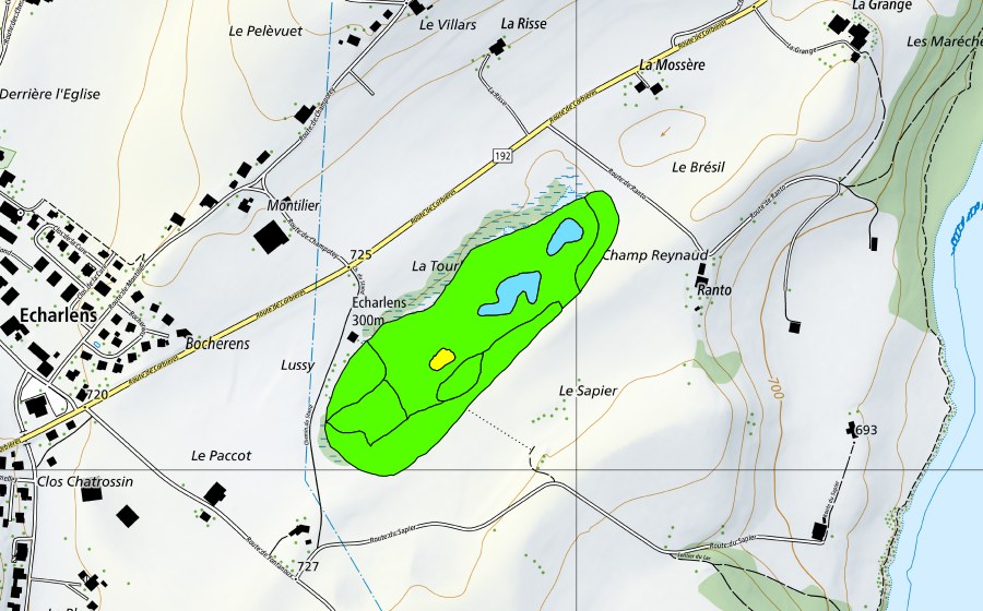 swisstopo national map showing the protected perimeter of La Tourbière d'Echarlens (Raised bog)