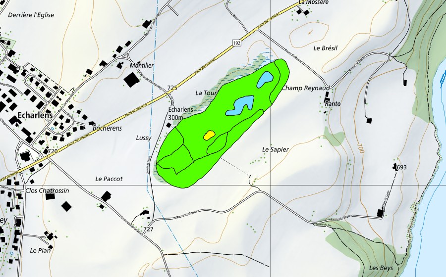 Carte nationale swisstopo avec le périmètre protégé de La Tourbière d'Echarlens (Haut-marais)