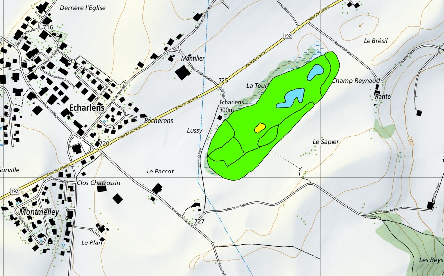 Landeskarte swisstopo mit dem Schutzperimeter von La Tourbière d'Echarlens (Hochmoor)