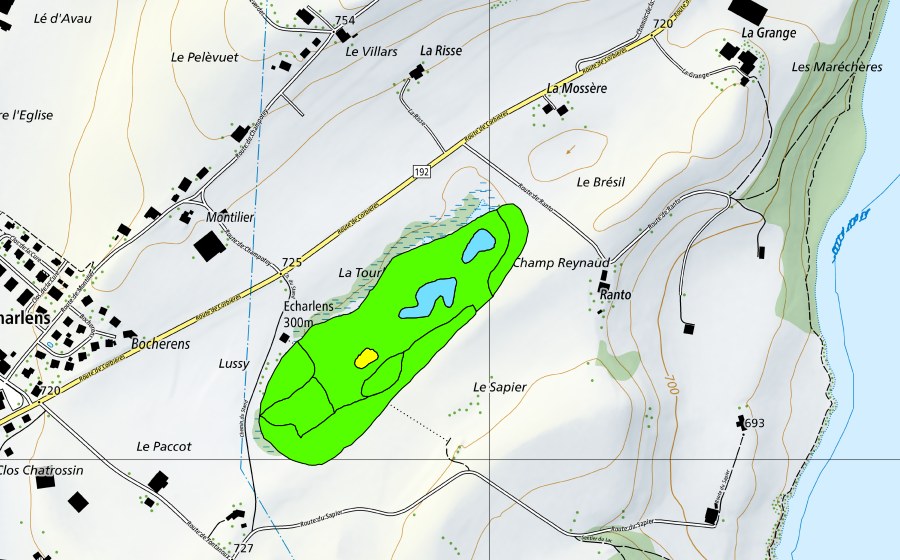 Carte nationale swisstopo avec le périmètre protégé de La Tourbière d'Echarlens (Haut-marais)